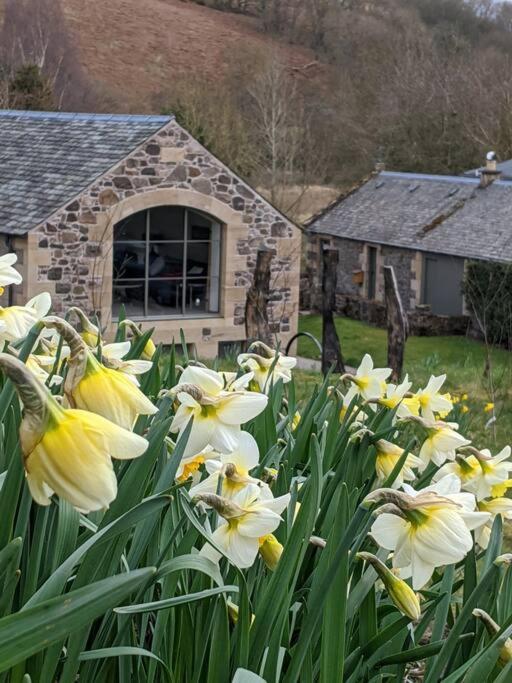 Appartamento Woodmill Arches - Designer Barn Conversion For Two Lindores Esterno foto